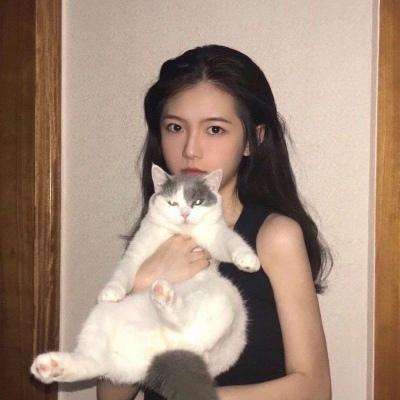 元气骑士一号玩家版下载